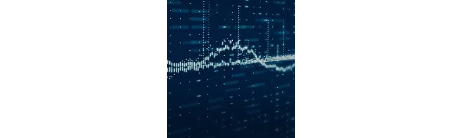 LifeTracker Monitor